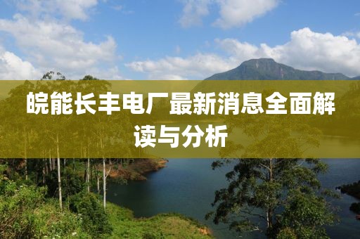 皖能長豐電廠最新消息全面解讀與分析