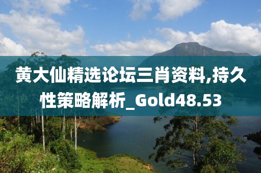 黃大仙精選論壇三肖資料,持久性策略解析_Gold48.53