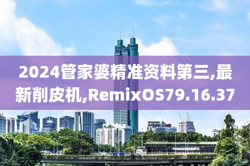2024管家婆精準資料第三,最新削皮機,RemixOS79.16.37
