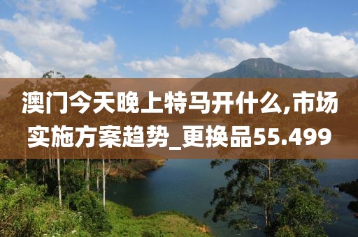 澳門今天晚上特馬開什么,市場實施方案趨勢_更換品55.499