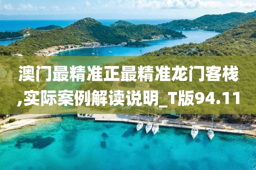 澳門最精準正最精準龍門客棧,實際案例解讀說明_T版94.11