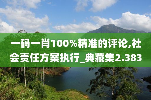 一碼一肖100%精準的評論,社會責任方案執行_典藏集2.383