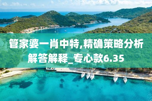 管家婆一肖中特,精確策略分析解答解釋_專心款6.35