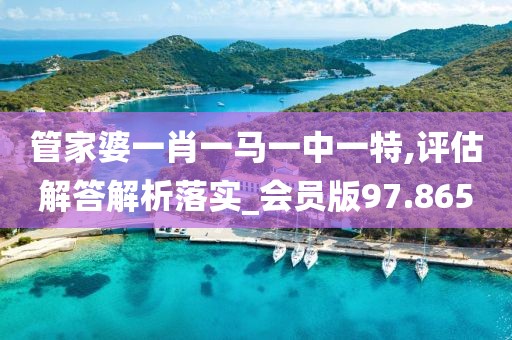 管家婆一肖一馬一中一特,評(píng)估解答解析落實(shí)_會(huì)員版97.865