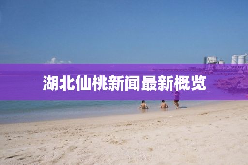 湖北仙桃新聞最新概覽