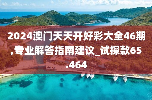 2024澳門天天開好彩大全46期,專業解答指南建議_試探款65.464