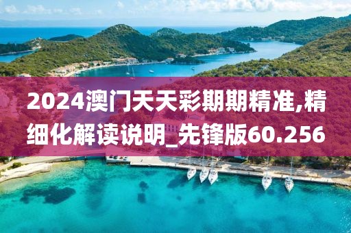 2024澳門天天彩期期精準(zhǔn),精細(xì)化解讀說明_先鋒版60.256