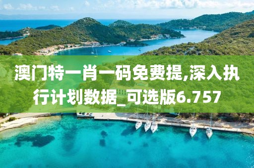 澳門特一肖一碼免費(fèi)提,深入執(zhí)行計(jì)劃數(shù)據(jù)_可選版6.757