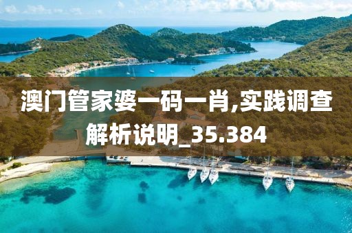 澳門(mén)管家婆一碼一肖,實(shí)踐調(diào)查解析說(shuō)明_35.384