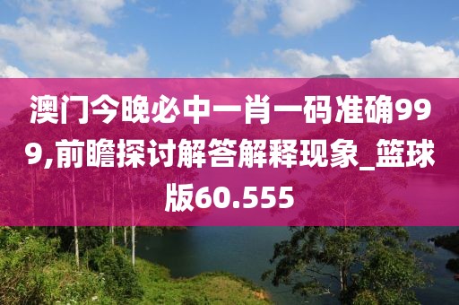 澳門今晚必中一肖一碼準確999,前瞻探討解答解釋現象_籃球版60.555