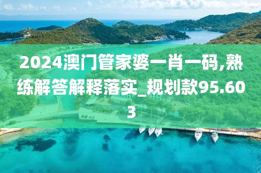 2024澳門管家婆一肖一碼,熟練解答解釋落實(shí)_規(guī)劃款95.603