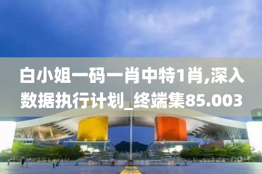白小姐一碼一肖中特1肖,深入數(shù)據(jù)執(zhí)行計(jì)劃_終端集85.003