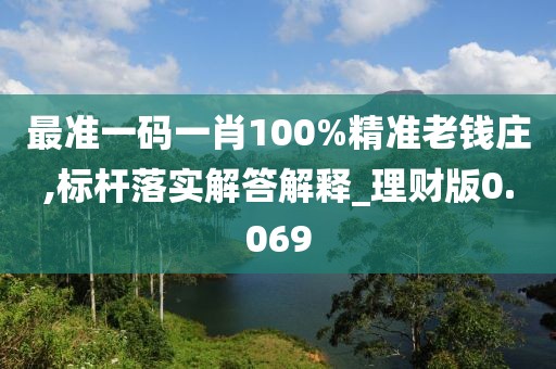 最準一碼一肖100%精準老錢莊,標桿落實解答解釋_理財版0.069