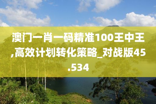 澳門一肖一碼精準100王中王,高效計劃轉化策略_對戰版45.534