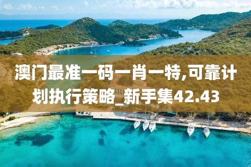 澳門最準一碼一肖一特,可靠計劃執行策略_新手集42.43