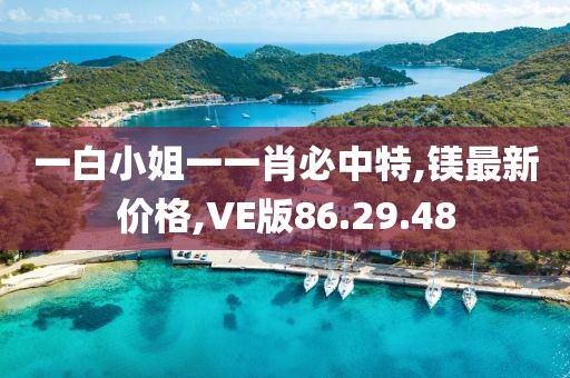 一白小姐一一肖必中特,鎂最新價格,VE版86.29.48