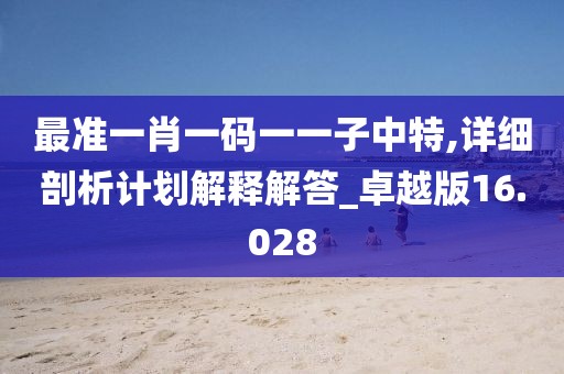 最準一肖一碼一一子中特,詳細剖析計劃解釋解答_卓越版16.028