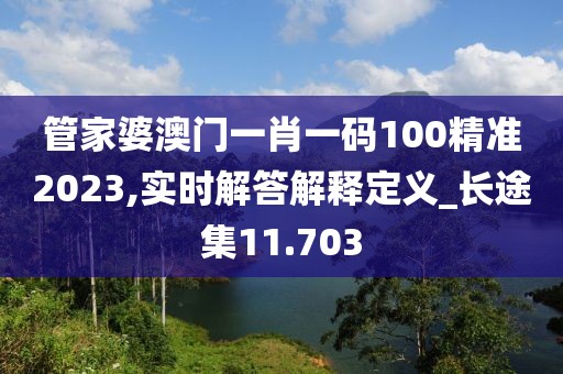 管家婆澳門一肖一碼100精準2023,實時解答解釋定義_長途集11.703