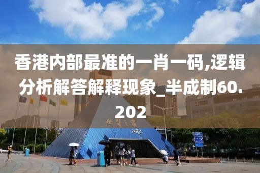 香港內部最準的一肖一碼,邏輯分析解答解釋現象_半成制60.202