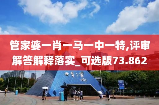 管家婆一肖一馬一中一特,評審解答解釋落實_可選版73.862