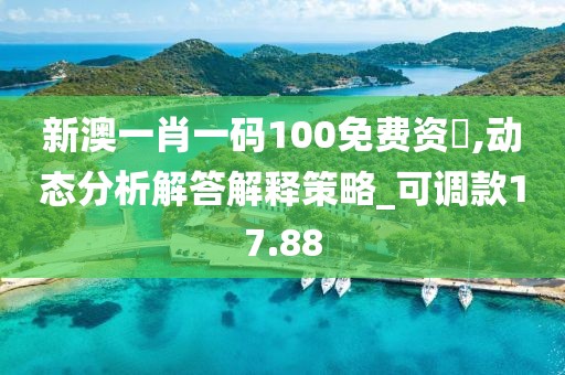 新澳一肖一碼100免費資枓,動態分析解答解釋策略_可調款17.88