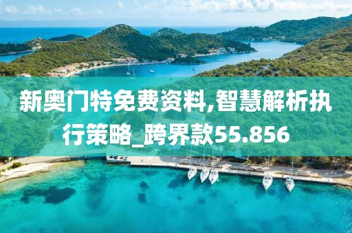 新奧門特免費(fèi)資料,智慧解析執(zhí)行策略_跨界款55.856