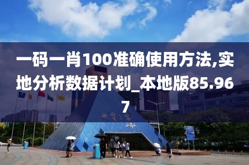一碼一肖100準確使用方法,實地分析數據計劃_本地版85.967