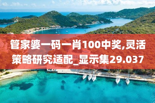 管家婆一碼一肖100中獎,靈活策略研究適配_顯示集29.037