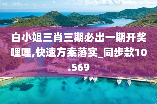 白小姐三肖三期必出一期開(kāi)獎(jiǎng)哩哩,快速方案落實(shí)_同步款10.569