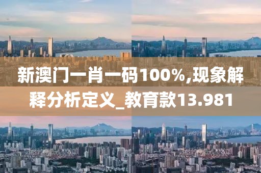 新澳門一肖一碼100%,現象解釋分析定義_教育款13.981