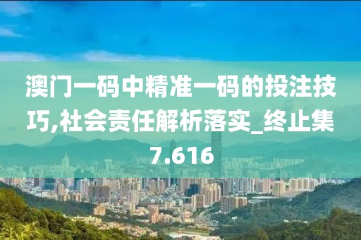澳門一碼中精準一碼的投注技巧,社會責任解析落實_終止集7.616