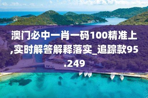澳門必中一肖一碼100精準上,實時解答解釋落實_追蹤款95.249