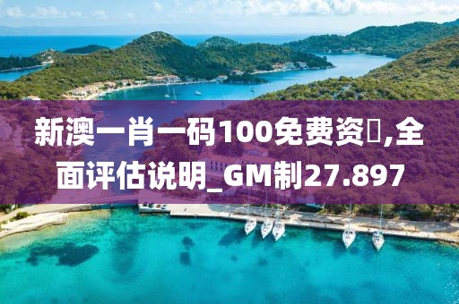 新澳一肖一碼100免費(fèi)資枓,全面評(píng)估說(shuō)明_GM制27.897