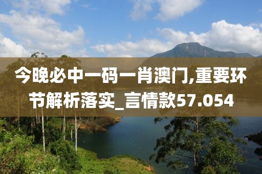 今晚必中一碼一肖澳門(mén),重要環(huán)節(jié)解析落實(shí)_言情款57.054