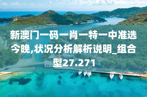 新澳門一碼一肖一特一中準選今晚,狀況分析解析說明_組合型27.271