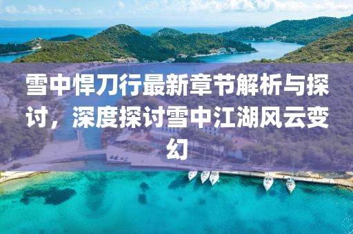 雪中悍刀行最新章節解析與探討，深度探討雪中江湖風云變幻