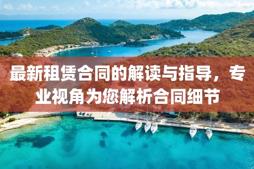 最新租賃合同的解讀與指導(dǎo)，專業(yè)視角為您解析合同細(xì)節(jié)