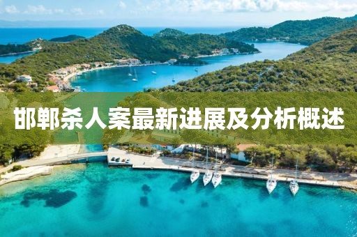 邯鄲殺人案最新進(jìn)展及分析概述