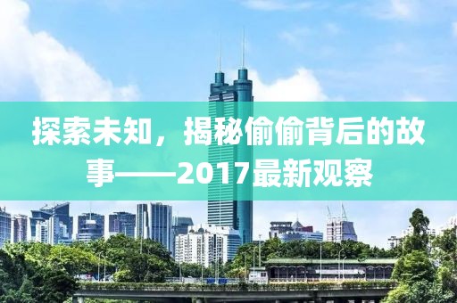探索未知，揭秘偷偷背后的故事——2017最新觀察