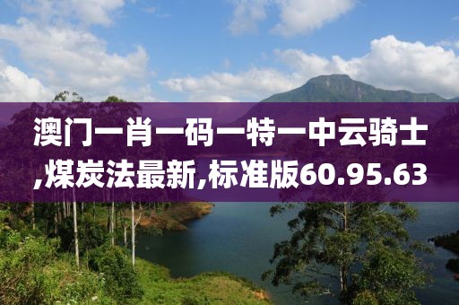 澳門一肖一碼一特一中云騎士,煤炭法最新,標準版60.95.63