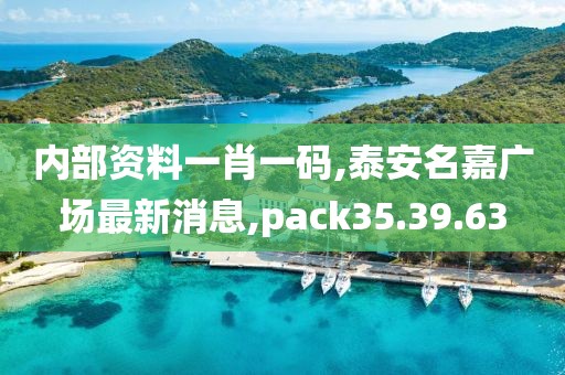 內部資料一肖一碼,泰安名嘉廣場最新消息,pack35.39.63