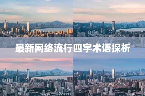 最新網絡流行四字術語探析