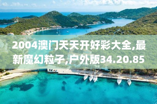 2004澳門天天開好彩大全,最新魔幻粒子,戶外版34.20.85