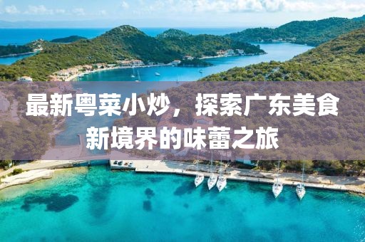 最新粵菜小炒，探索廣東美食新境界的味蕾之旅