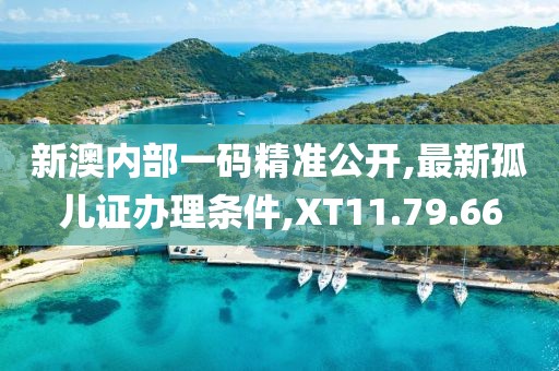 新澳內(nèi)部一碼精準(zhǔn)公開(kāi),最新孤兒證辦理?xiàng)l件,XT11.79.66