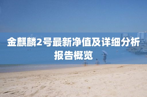 金麒麟2號(hào)最新凈值及詳細(xì)分析報(bào)告概覽