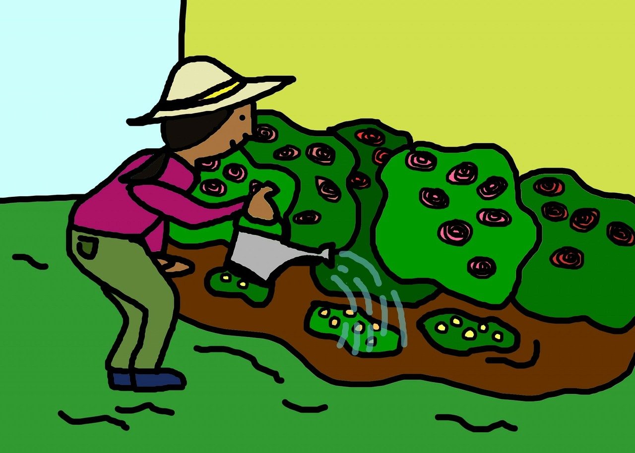初告白 第58頁