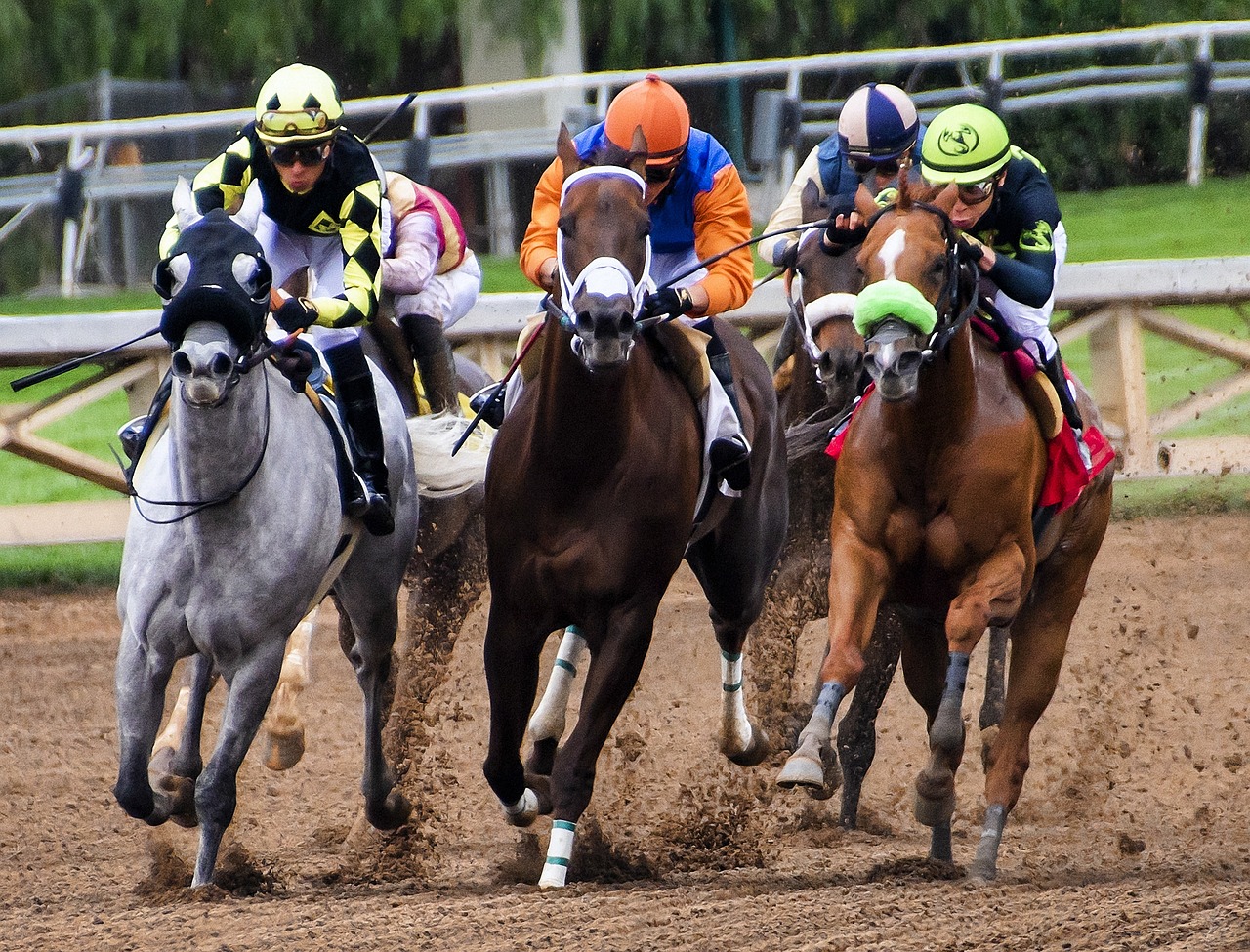 2024今晚開特馬開獎結果,維多利亞最新街拍,特供版31.47.29