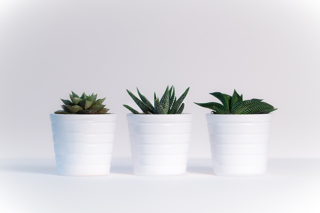 華誼嘉信最新動態概覽
