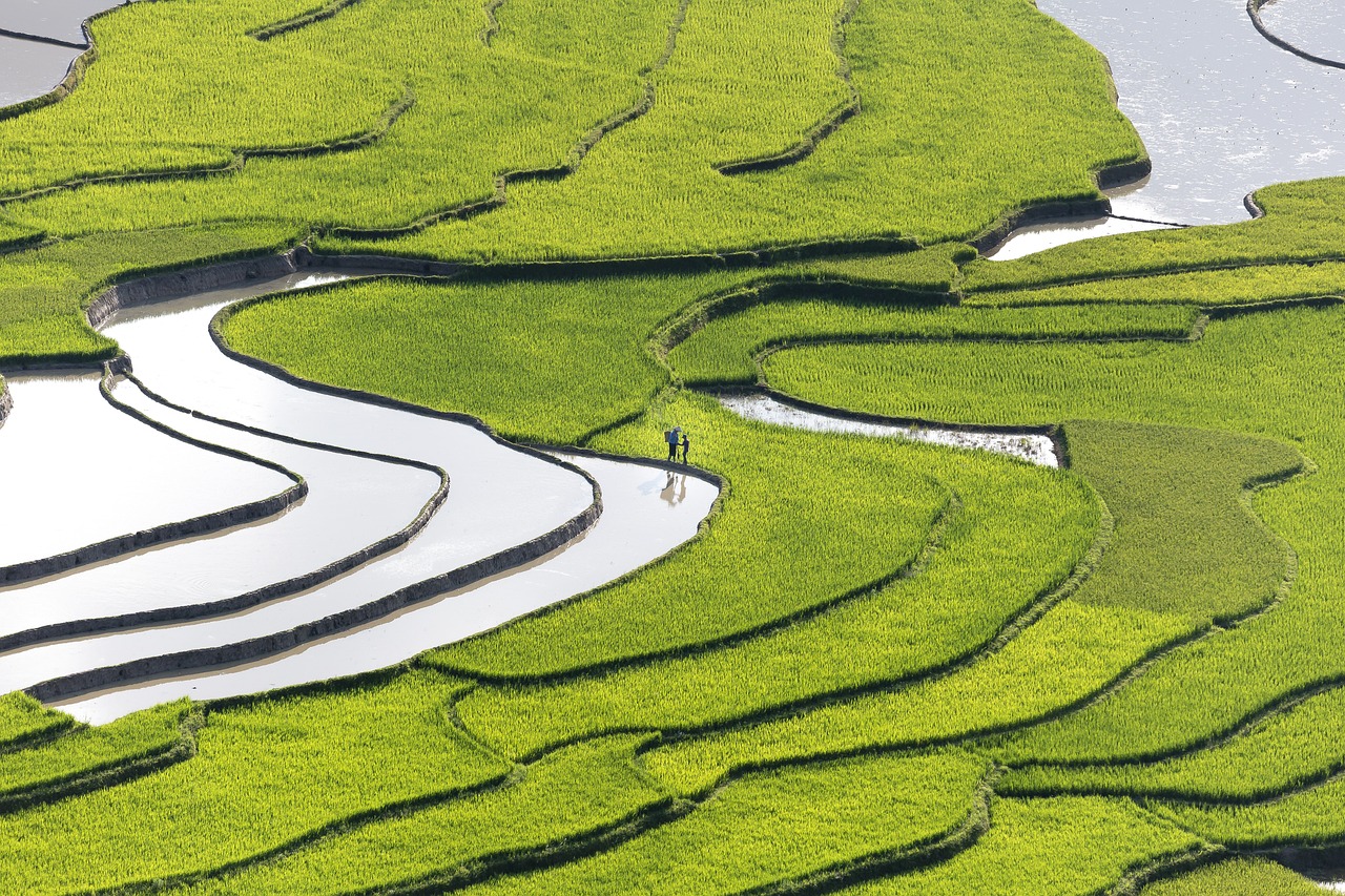 諸神之戰(zhàn)最新動(dòng)態(tài)，奇幻之旅探索未知領(lǐng)域